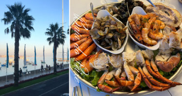 【葡萄牙】螃蟹、生蠔、蝦子、淡菜、螺類—Baía do Peixe海鮮、魚類吃到飽，台幣1500有找！
